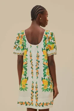 FARM Rio  Robes Courtes<Mini-robe foulard salade de papaye