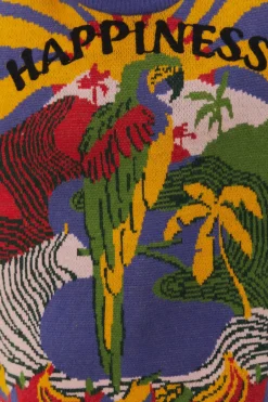 FARM Rio  Pulls Et Sweat-shirts<Pull du bonheur