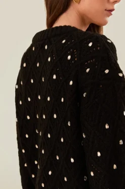 FARM Rio  Pulls Et Sweat-shirts<Pull en maille à dentelle noire