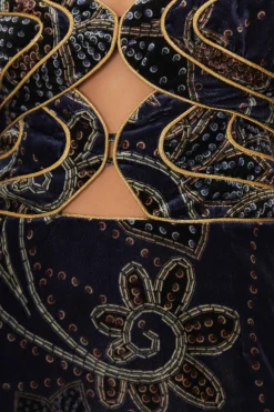 FARM Rio  Robes Courtes<Robe courte en velours bleu à imprimé floral et écharpe glamour