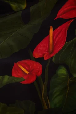 FARM Rio  Robes Longues<Robe longue noire Anthurium à col en V