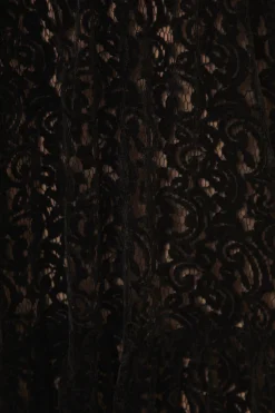 FARM Rio Robes Longues<Robe longue sans manches en dentelle de velours noir