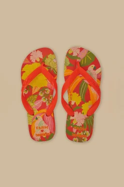 FARM Rio  Des Sandales<Sandales Farm Neon Flor Havaianas
