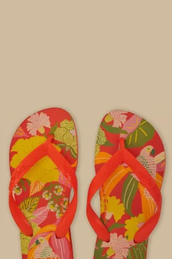 FARM Rio  Des Sandales<Sandales Farm Neon Flor Havaianas