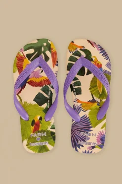 FARM Rio  Des Sandales<Sandales Farm Passaros Pintados Havaianas