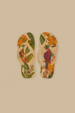FARM Rio  Des Sandales<Sandales Havaianas Farm Ararinhas