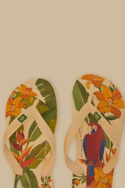 FARM Rio  Des Sandales<Sandales Havaianas Farm Ararinhas