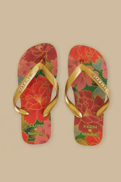 FARM Rio  Des Sandales<Sandales Havaianas solaires Farm Chita